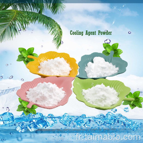 Concentrer la saveur de la menthe WS-23 Agent de refroidissement Powder WS23 CAS 51115-67-4